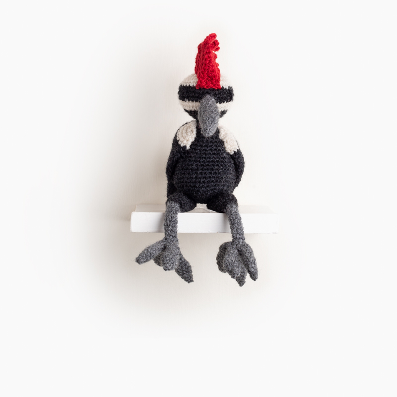 woodpecker bird crochet amigurumi project pattern kerry lord Edward's menagerie
